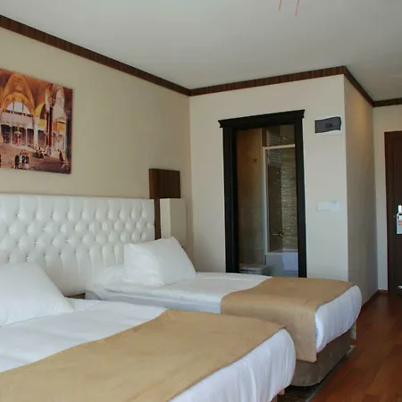 Hotel Hedef Dag Termal & Bozkoy (Germencik)