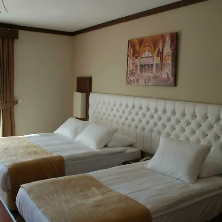 Hedef Dag Termal & Hotel Bozkoy (Germencik)