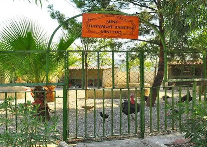 Hedef Dag Termal & * Bozkoy (Germencik)