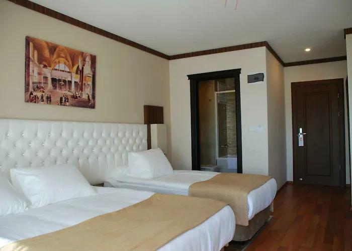 호텔 Hedef Dag Termal & Bozkoy (Germencik)